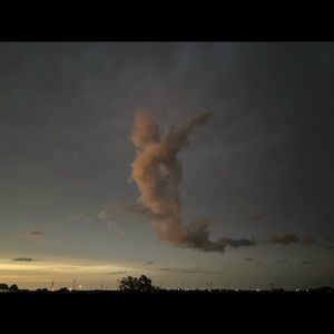 Meet your Posher, Lee